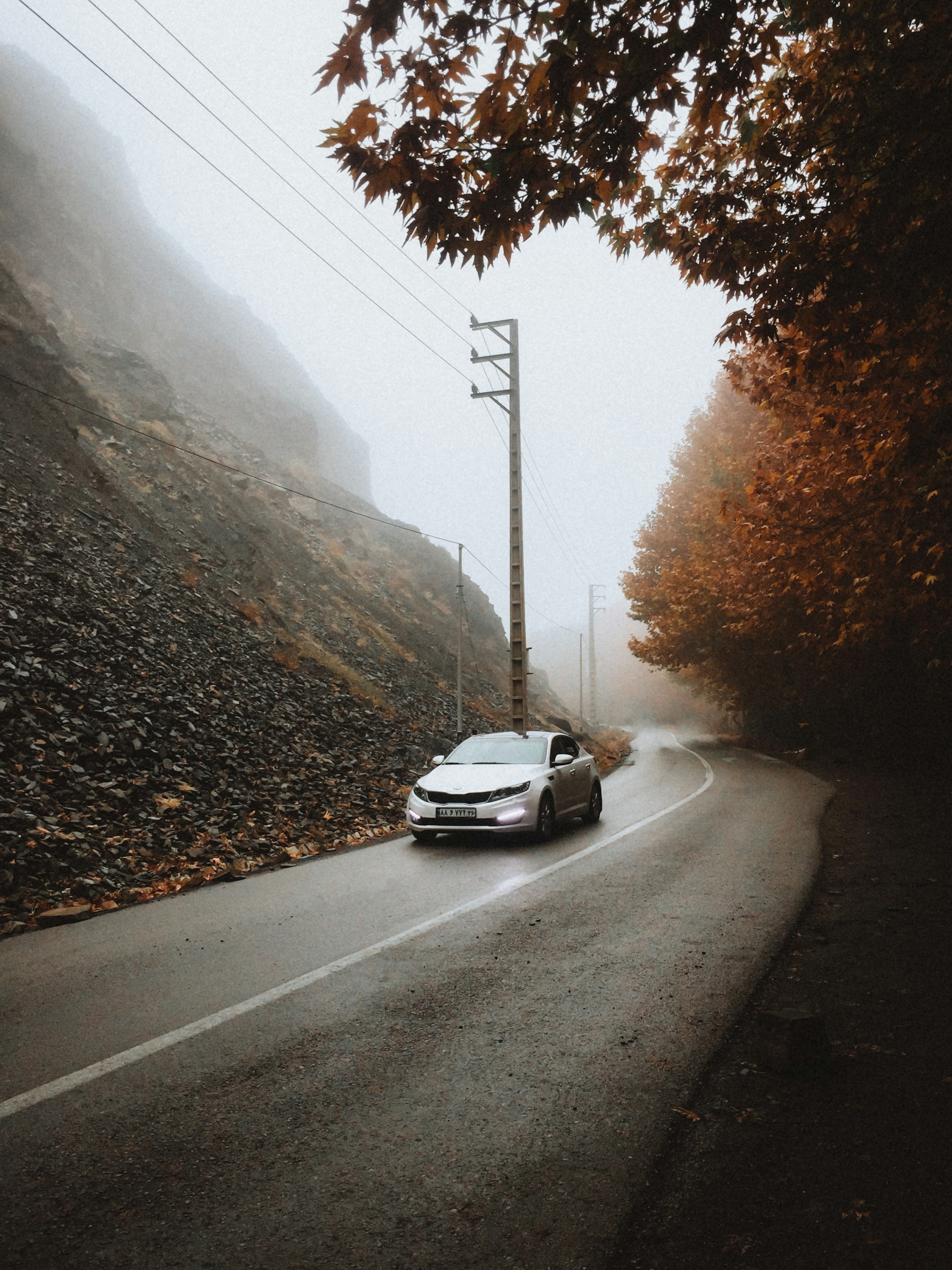 Sebuah kereta di jalan berpokok / 车辆行驶在林荫道路上